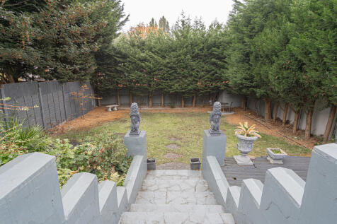 20251013-DSC06938...