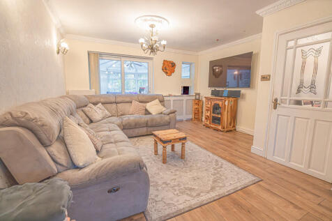 20251015-DSC06980...