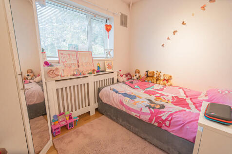 20251015-DSC06972...