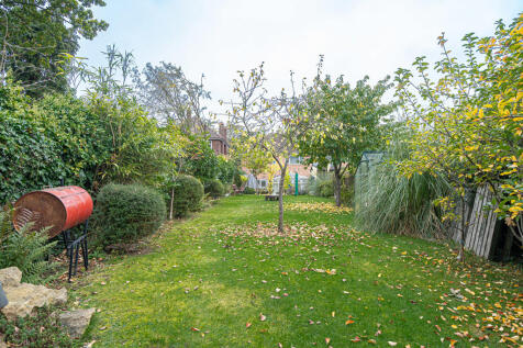 20251015-DSC06991...