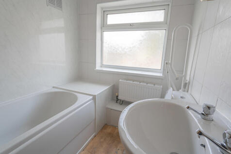 20251009-DSC06876...