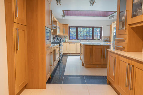 20250801-DSC05960...