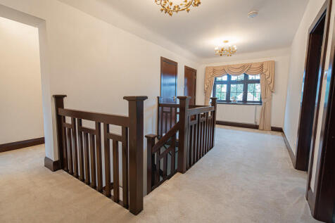 20250801-DSC05915...