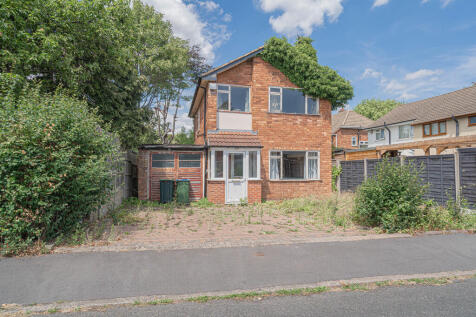 20250709-DSC05469...