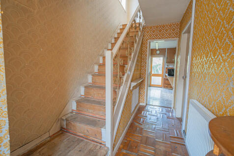 20250709-DSC05457...