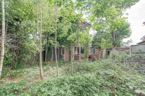 20250709-DSC05473...