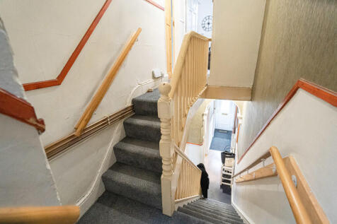 20251029-DSC07038...