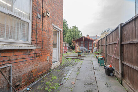 20251029-DSC07037...