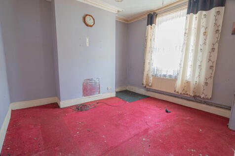 20251113-DSC07141...