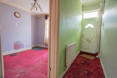 20251113-DSC07144...