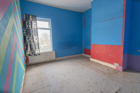 20251113-DSC07155...