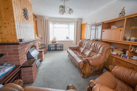 20251119-DSC07231...