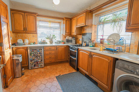 20251119-DSC07234...