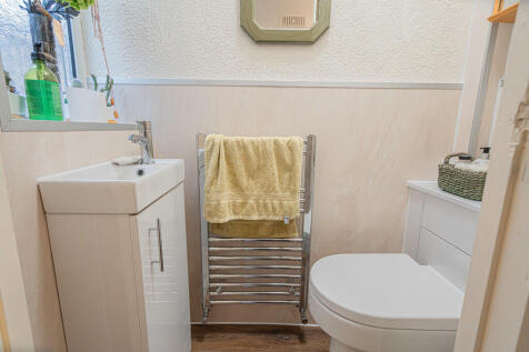 20251119-DSC07239...