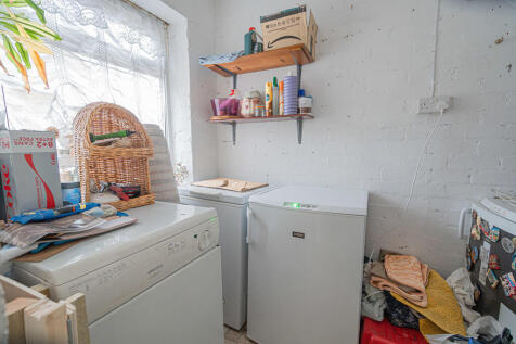 20251119-DSC07237...