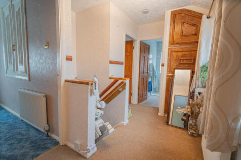 20251119-DSC07244...