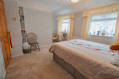 20251119-DSC07251...