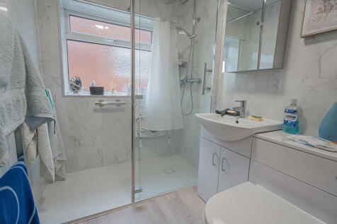 20251119-DSC07253...