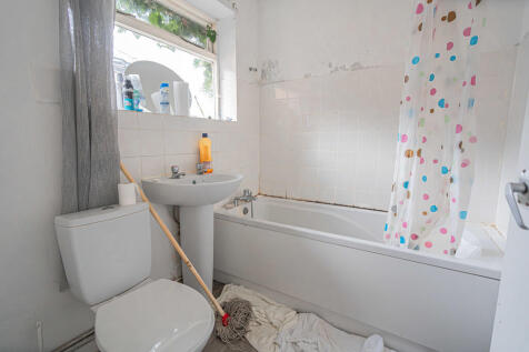 20251119-DSC07216...