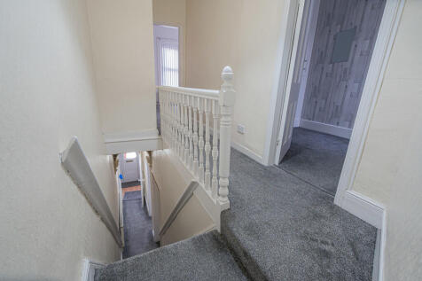 20251126-DSC07293...