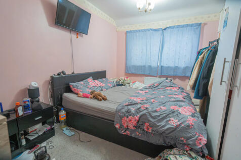 20251127-DSC07334...