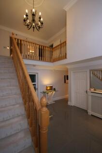 Photo13