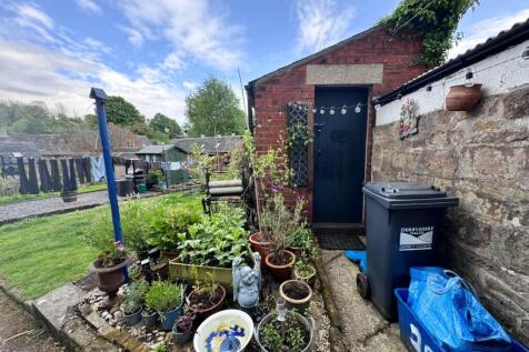 Garden 3.jpg
