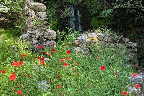 Garden 3.jpg
