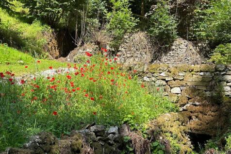 Garden 4.jpg