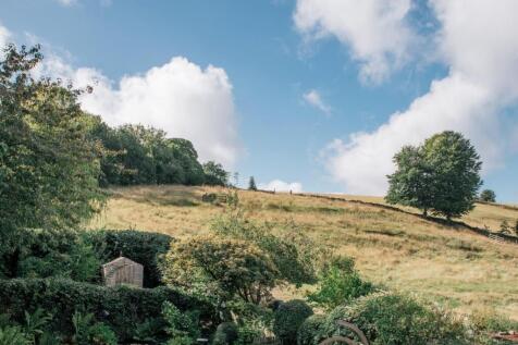 Garden and field