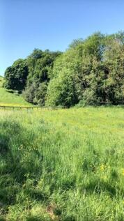 Paddock &amp; Rear Field.jpg