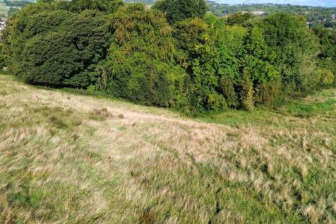 View of woodland to the West.jpg