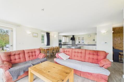 Kitchen / Living Area