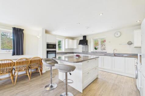 Kitchen / Living Area