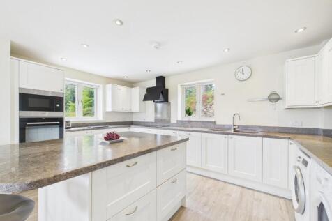 Kitchen / Living Area