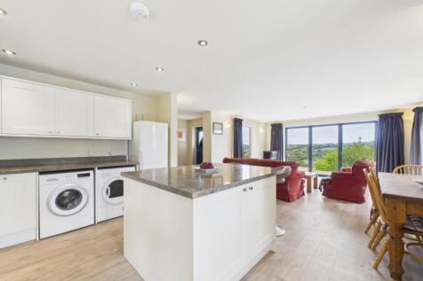 Kitchen / Living Area
