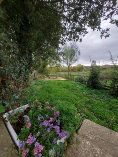 communal garden
