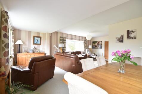 Living / Dining Room