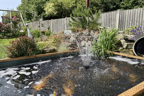 Pond