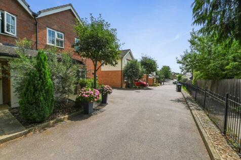 The Hedgerows