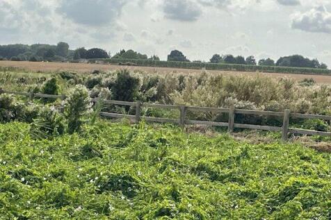 Land - Wingham