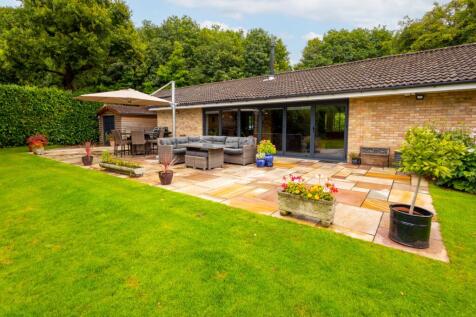 Rear Gardens