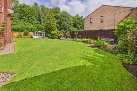 Side Garden