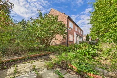 Side Garden/Driveway