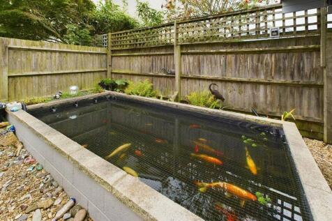 Pond