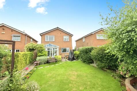 Back Garden