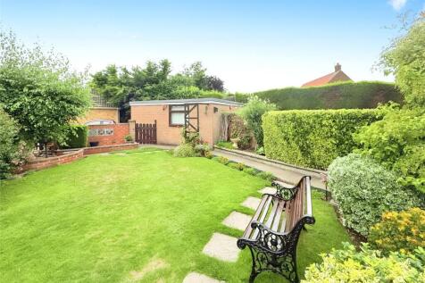 Back Garden