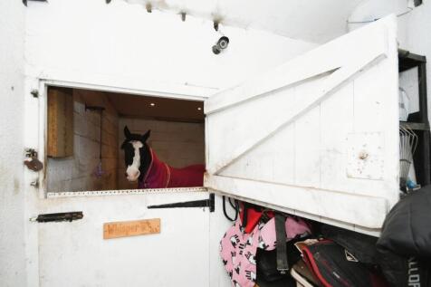 Stable