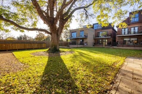Property Image 8