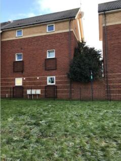 Mole Court